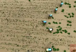 九游官方入口 -风云突变!华盛顿奇才集结日内部沟通;社区盾版图或变;赛场秩序良好;数据趋势出现新变化的简单介绍